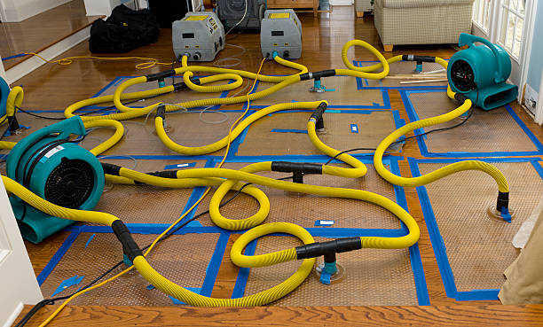 Professional Water Damage Restoration technician working in Mesquite, TX